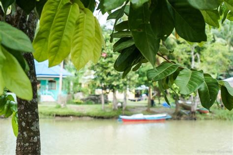 The Slow Life: Loboc River Resort Review | SimplyPhilippines