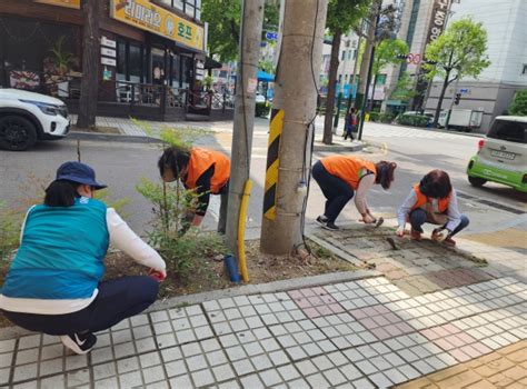 남동구 만수5동 통장협의회 만경로 보도블록 틈새 잡초 제거