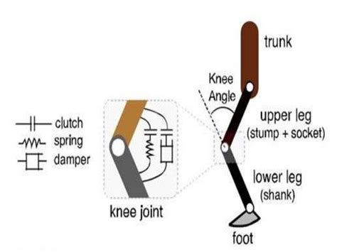 Designof A Fully Passive Prosthetic Knee