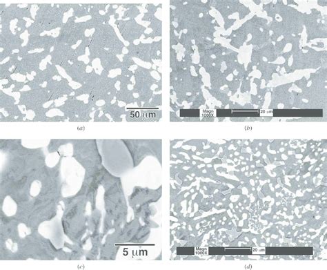 BSE Micrographs Displaying Microstructures Of Homogenized Alloys A