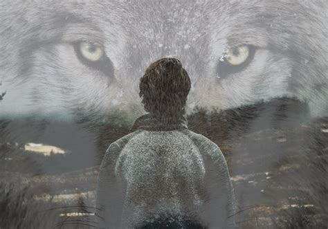 Lone Wolf Personality:12 Traits, Reasons, and Myths Debunked