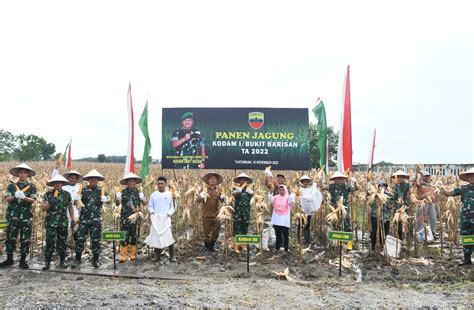 Kolaborasi Kodam I Bb Dan Santri Tani Panen Jagung Untuk Ketahanan