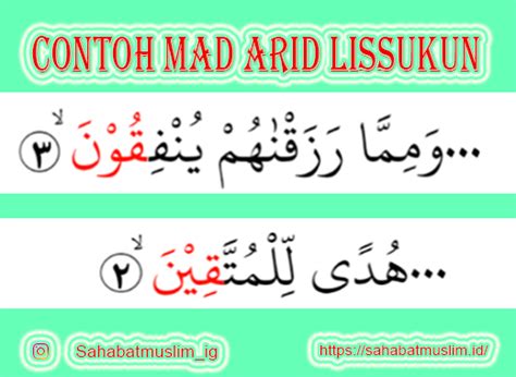 Contoh Bacaan Mad Arid Lissukun Beserta Surat Dan Ayatnya Ruang Ilmu