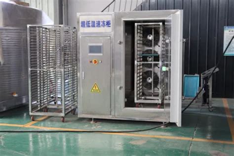 Industrial Iqf Frozen Fruit And Vegetable Food Quick Freezing Machine