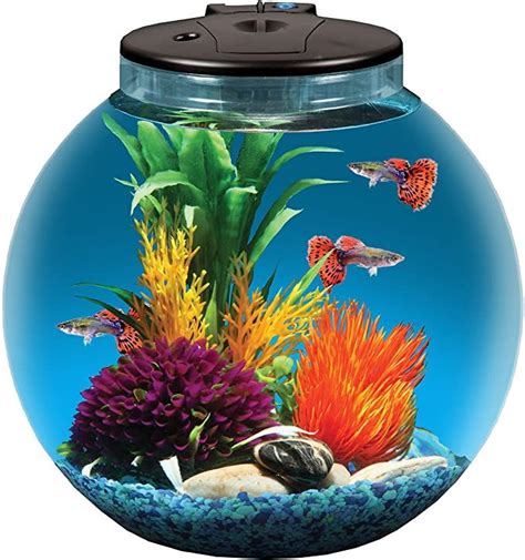 Colorful Fish Tank with Filter and LED Lighting