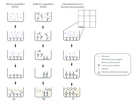 Schematic illustration of Immunoassays: (a) Direct competitive ELISA ... 