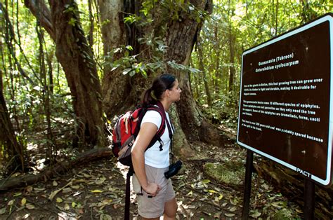 Guanacaste National Park - S & L Travel and Tours - BELIZE