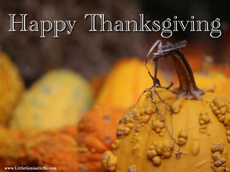 Funny Thanksgiving Wallpapers For Desktop Wallpapersafari