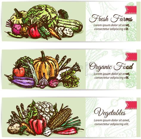 Fresh Vegetables Banner Set Organic Stock Vector Colourbox