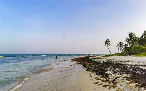 Playa Del Carmen Quintana Roo Mexico 2023 Tropical Caribe Playa Agua