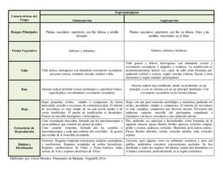 La Clave Para Diferenciar Las Plantas Angiospermas Y Gimnospermas