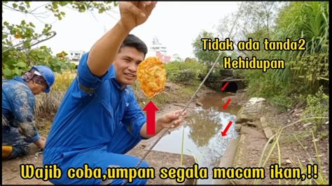 Mancing Di Selokan Kecil Hasilnya Di Luar Dugaan YouTube