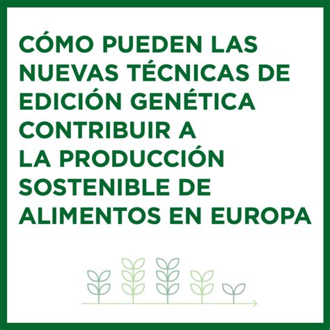 El Potencial Del Arroz Transgénico Para Reducir La Desnutrición Fundacion Antama