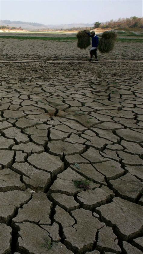 Jawa Tengah Dilanda Kekeringan Grobogan Terparah Merdeka