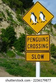 95 Slow Penguins Crossing Images Stock Photos 3D Objects Vectors