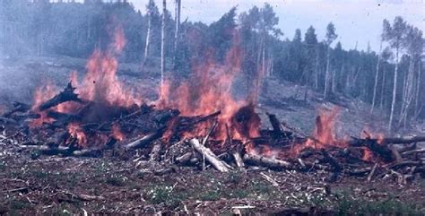 cesar villalba tumba roza  quema