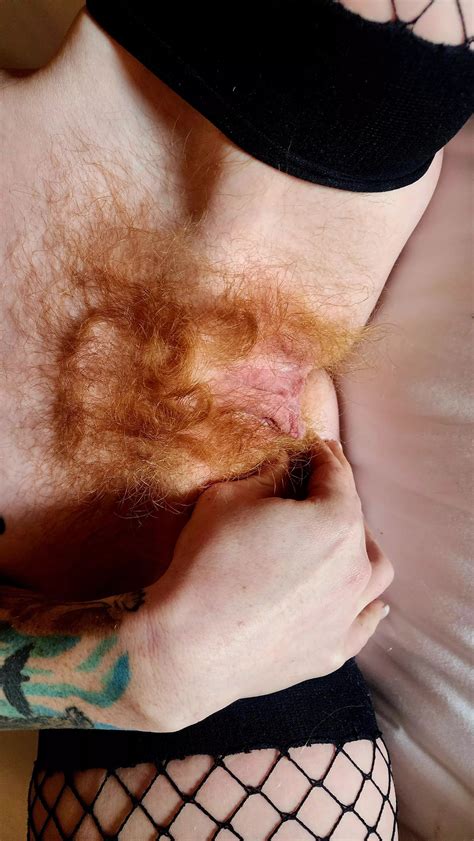 Ginger Nudes Hairyassgirls Nude Pics Org