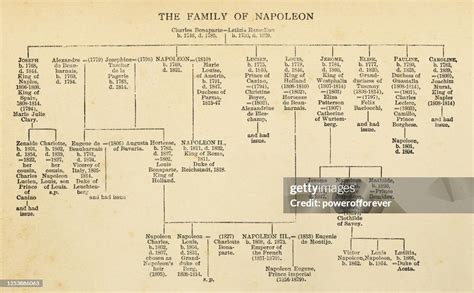 Napoleon Bonapartes Family Tree 19th Century High-Res Vector Graphic - Getty Images