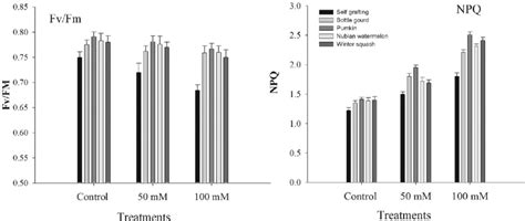 Effect Of Rootstocks On Chlorophyll Fluorescence Parameters Fv Fm And