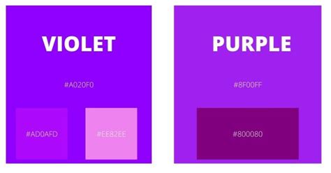 Difference Between Violet and Purple Explained | Acrylic Painting School