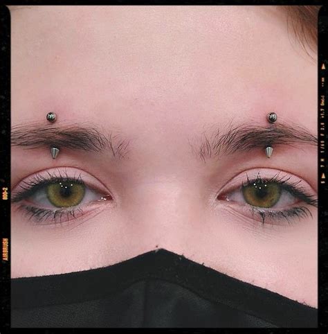 Eyebrow Piercing Idea Different Types Of Eyebrow Piercings Different