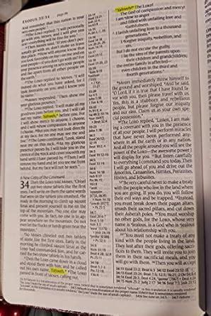 Slimline Center Column Reference Bible NLT Tyndale 9781414327051