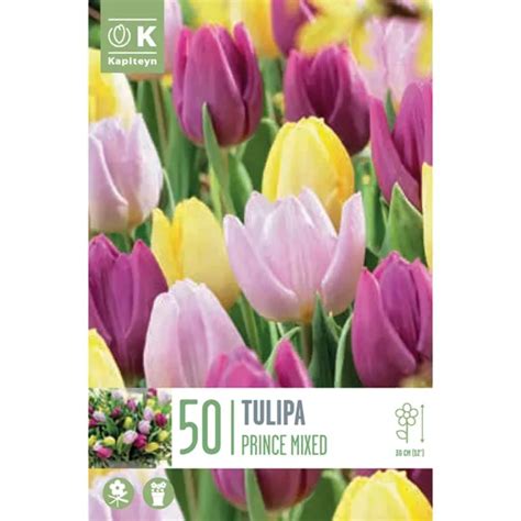 Tulip Single Early Prince Mixed Colours 50 Bulbs