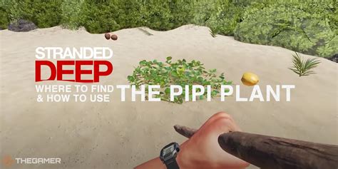 20+ Pipi Plant Stranded Deep - MoragNaiome