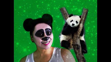 Maquillaje Panda Panda Makeup Youtube