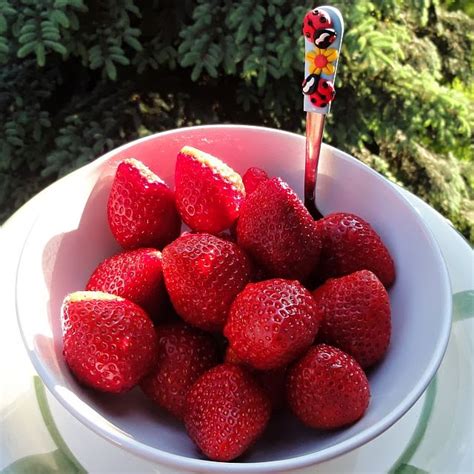 Strawberries Magic With Hook And Needles