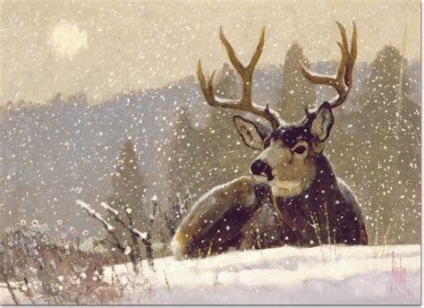 Awesome Acrylic Artist Seriesrobert Bob Kuhn Wildlife Paintings