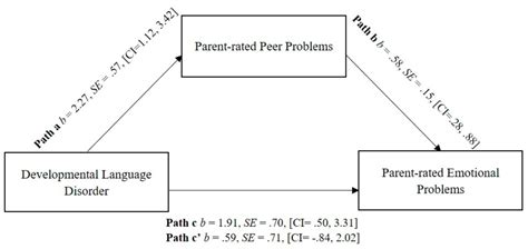 Ijerph Free Full Text Social Functioning As A Mediator Between