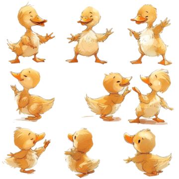 Transparent Background Baby Duck, Duck, Cute Duck, Animal PNG ...