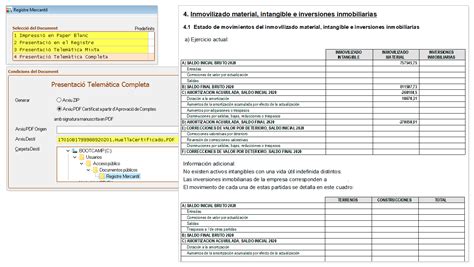 Conta Programa De Comptabilitat I Fiscalitat Per Empreses I Assessories