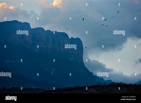 The Southern Cliffs Of Auyan Tepui Gran Sabana Venezuela Stock Photo