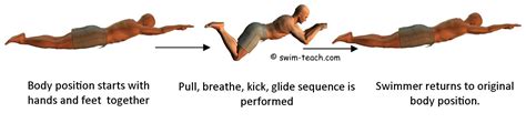 Improve Your Breaststroke Swimming Technique Today