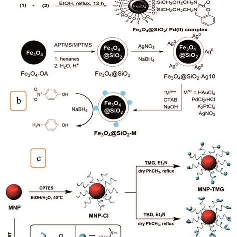 Schematic Illustration For The Synthesis Of A Fe3o4sio2pdii