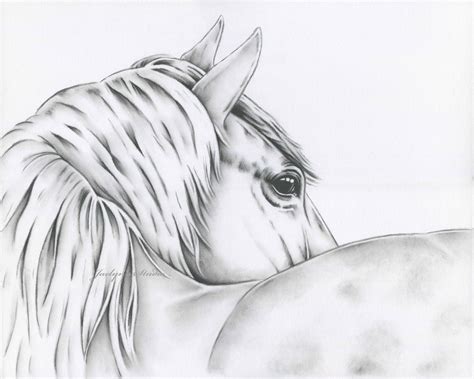 Black And White Horse Drawings