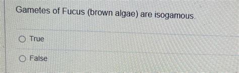 Solved Gametes of Fucus (brown algae) are isogamous. O True | Chegg.com