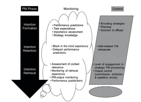 What Is Prospective Memory Everything You Need To Know