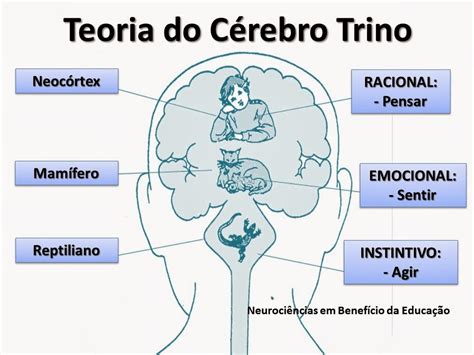 Divagando A Fase Instintiva Do C Rebro