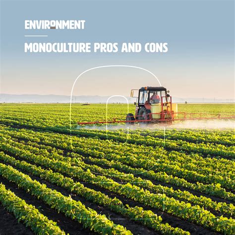 Monoculture Pros And Cons Environment Co