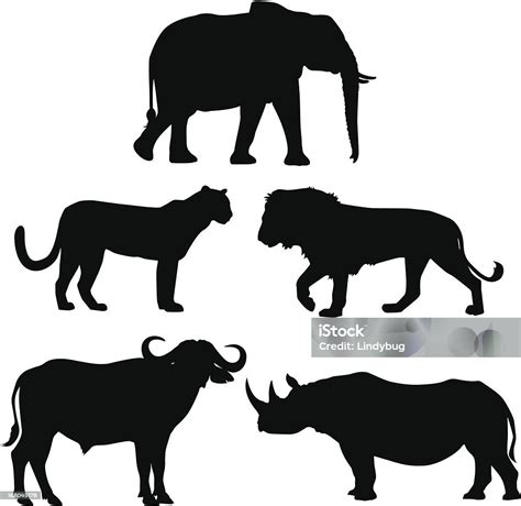 Africas Big Five Stock Illustration Download Image Now In