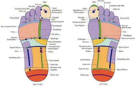 Healing Benefits of Pressure Point Massage | RemedyGrove