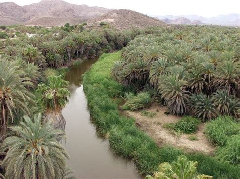 Principales ecosistemas de México y sus características - conócelos aquí