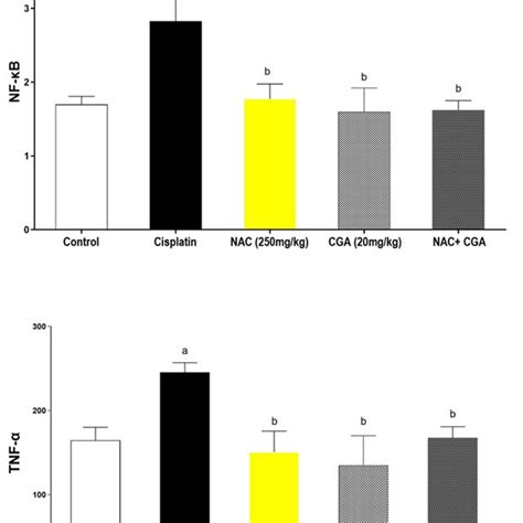 Effects Of NAC And Or CGA On Cisplatin Mediated Changes In Renal