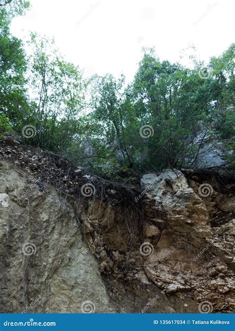 Antalya Goynuk Canyon Beautiful Mountain With Trees In National