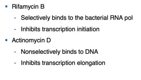 Microbiology Exam 2 Chapter 8 Flashcards Quizlet