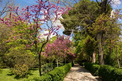 Instantes Fotos De Sebasti N Navarrete El Retiro Madrid Ya Es