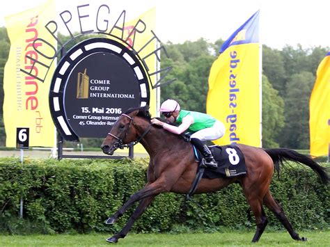 Deutscher Galopp Marathon Aufgewertet Deutscher Galopp